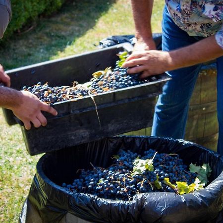 Todoroff Wine Residence Brestovica  Zewnętrze zdjęcie
