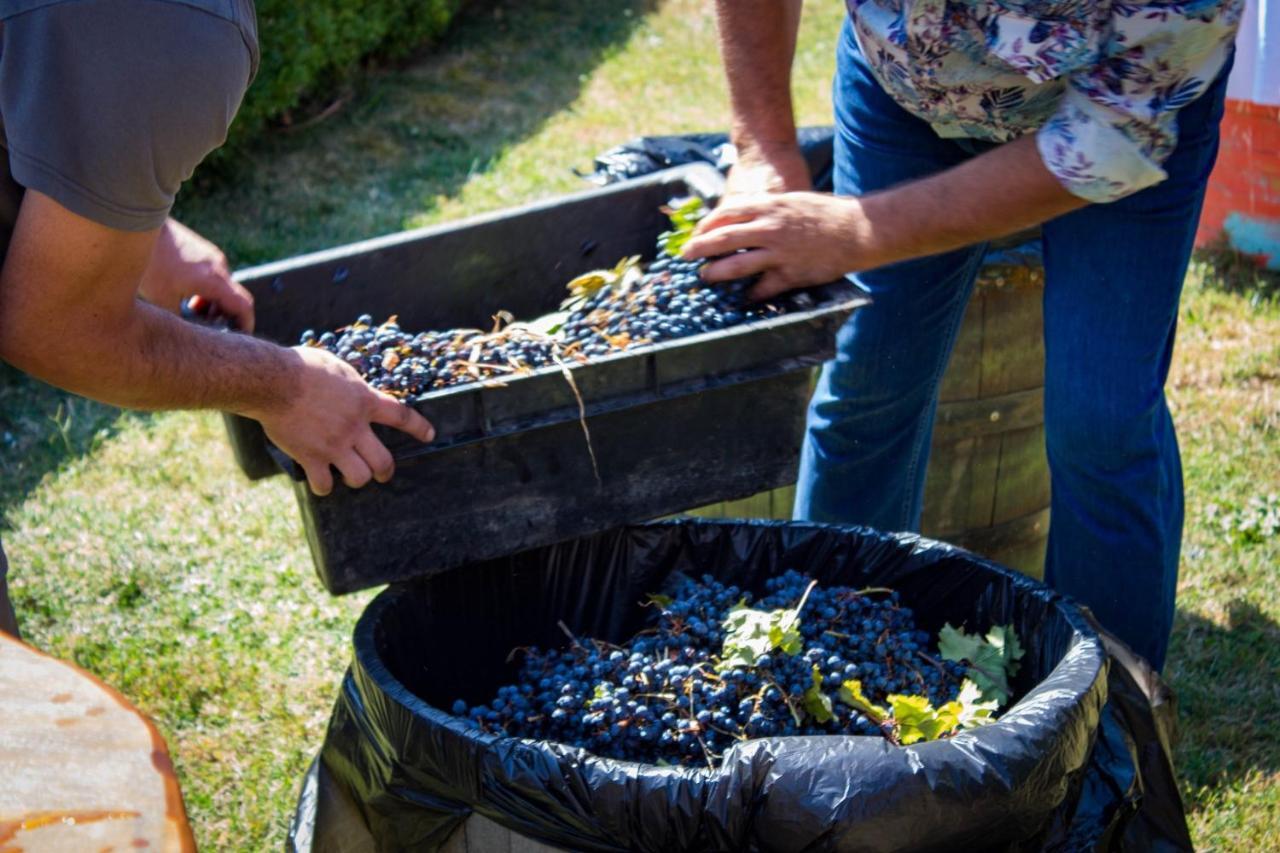 Todoroff Wine Residence Brestovica  Zewnętrze zdjęcie